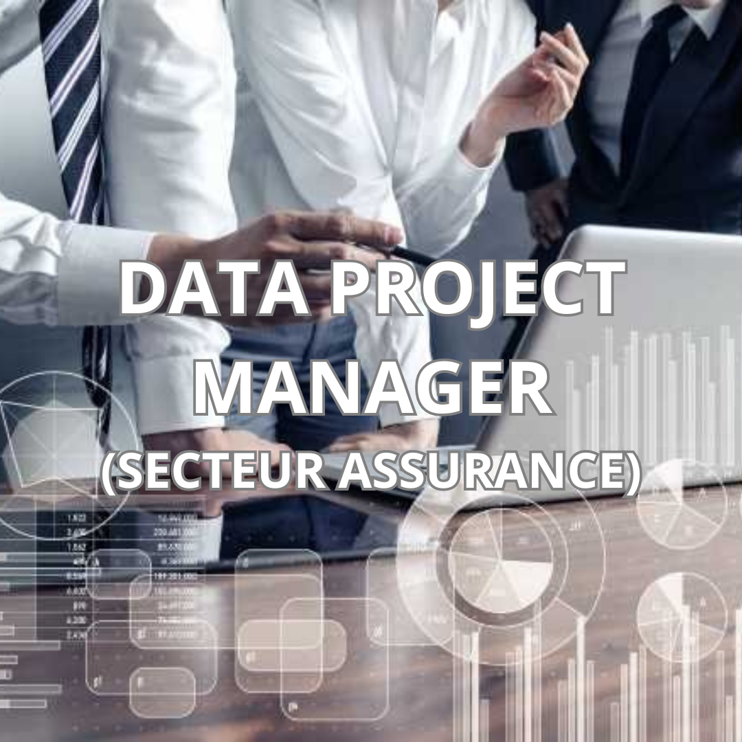 Data Project Manager