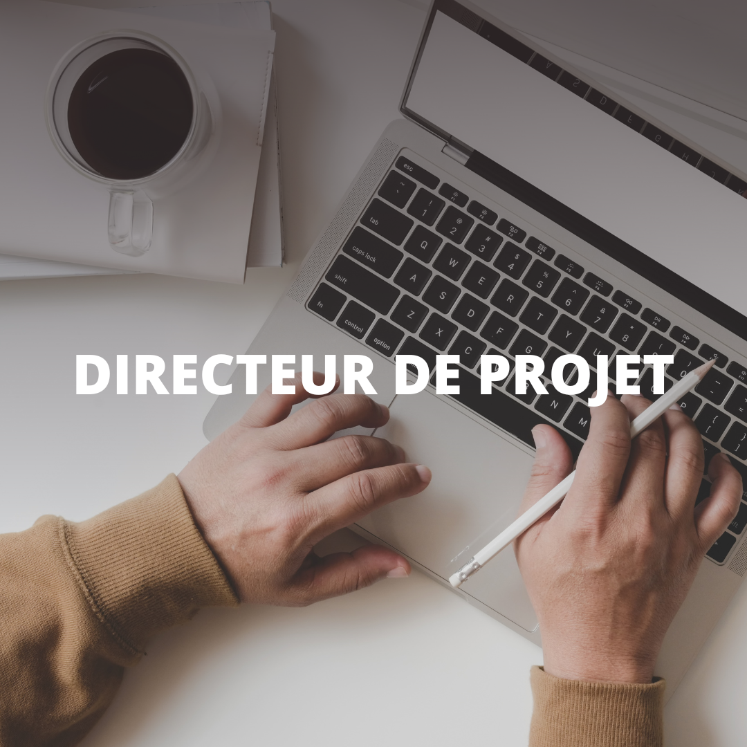 Directeur de projet (Télécom)